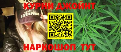 спиды Бердск