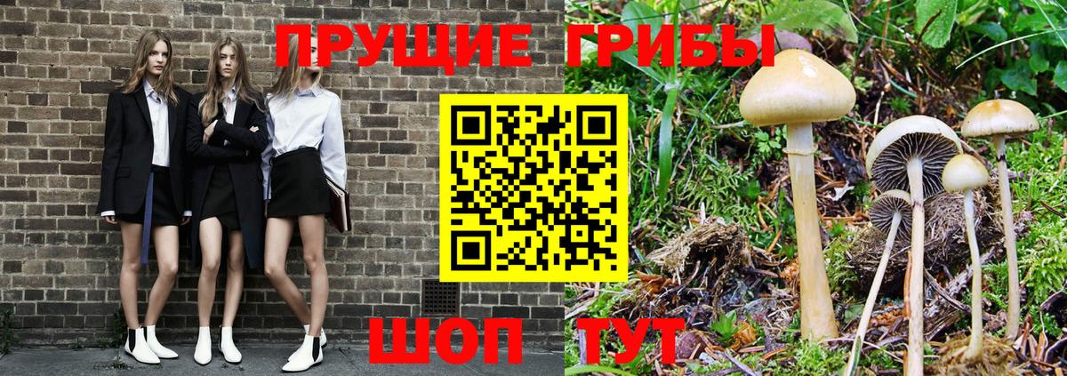 Псилоцибиновые грибы мухоморы Астрахань