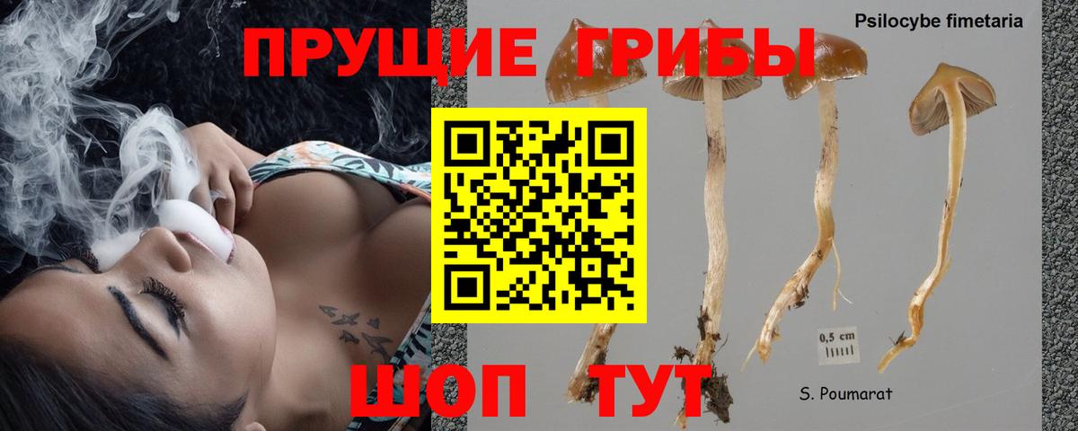 Галлюциногенные грибы Cubensis  Вход с VPN  Псилоцибиновые грибы MAGIC MUSHROOMS  Астрахань 